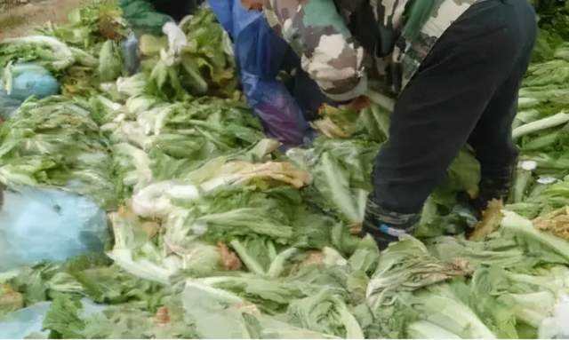 從”老壇酸菜“事件引發的反思：凈水器的甄別也需謹慎再三！