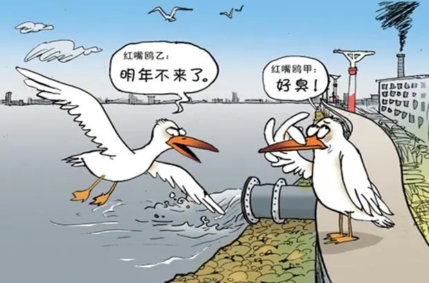 水污染從不缺少“花樣”，有凈水器的家庭能否安全避禍？